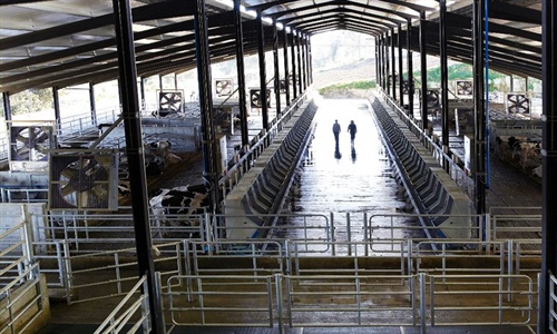 El IRTA lanza el Esquema de Certificacin en Bienestar Animal basado...