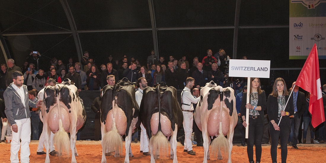 Suiza, Mejor Pa�s del Concurso Holstein Europeo 2019