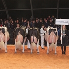 Suiza, Mejor País del Concurso Holstein Europeo 2019