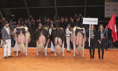 Suiza, Mejor Pas del Concurso Holstein Europeo 2019