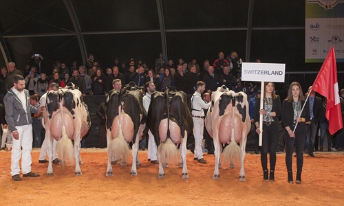 Suiza, Mejor Pas del Concurso Holstein Europeo 2019