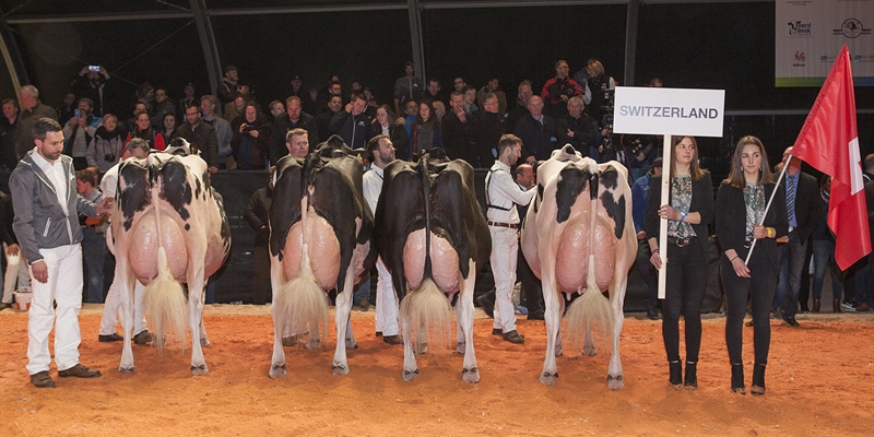 Suiza, Mejor Pas del Concurso Holstein Europeo 2019