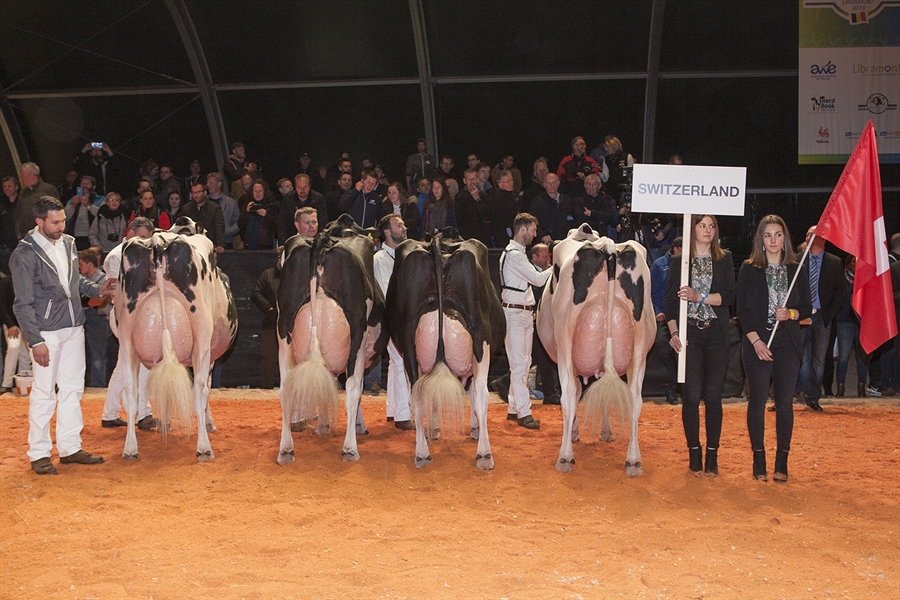 Suiza, Mejor País del Concurso Holstein Europeo 2019