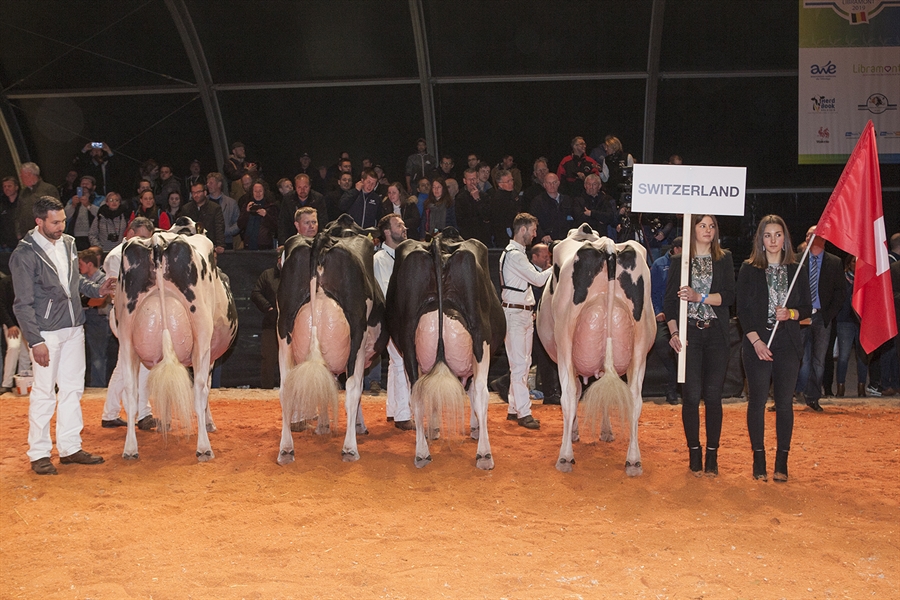 Suiza, Mejor Pas del Concurso Holstein Europeo 2019