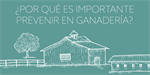 MSD Animal Health se suma a la Semana Mundial de la Inmunizacin en Ganadera