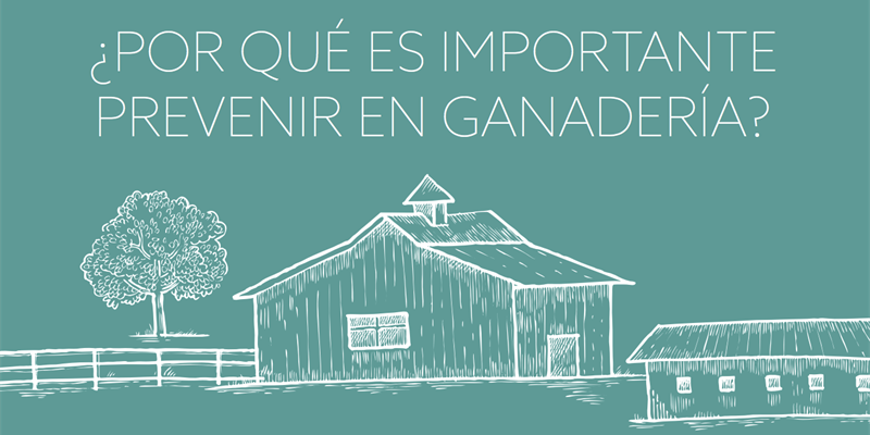 MSD Animal Health se suma a la Semana Mundial de la Inmunizaci�n en Ganader�a