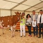 Pol HB Gold Toto Roja, Vaca Gran Campeona de Campllong 2019