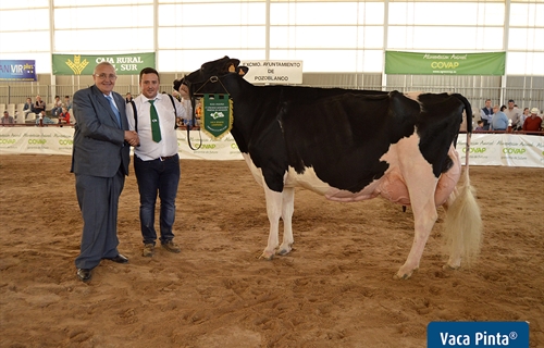 Copada Fever 5 (Loma la Copada), Vaca Gran Campeona de Andaluca 2019