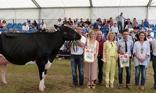 CXLIV Concurso Exposicin Ganado Frisn San Antonio Renedo 2019
