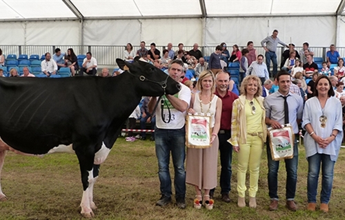 CXLIV Concurso Exposici�n Ganado Fris�n San Antonio Renedo 2019