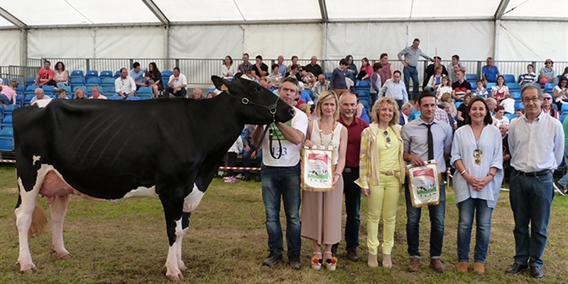 CXLIV Concurso Exposicin Ganado Frisn San Antonio Renedo 2019