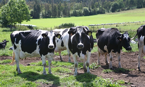 Actualizacin de pruebas genmicas de Hembras CONAFE Mayo 2019