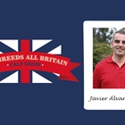 El juez de CONAFE Javier Álvarez Lastra juzgará el concurso internacional The All Breeds All Britain