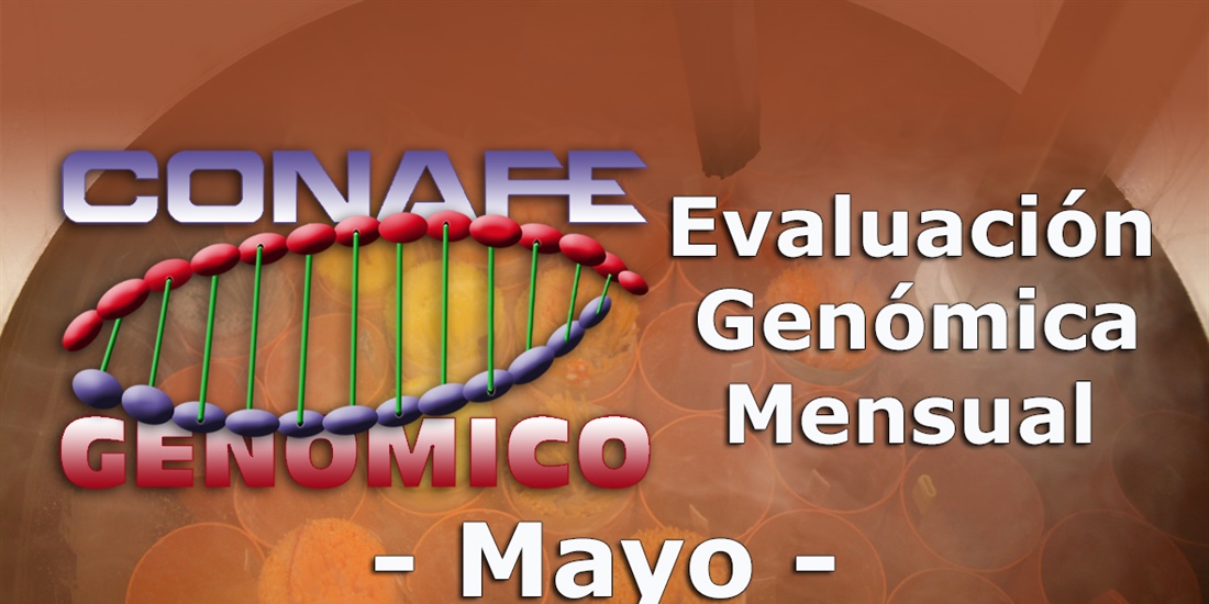 Nuevos toros genmicos con Prueba Oficial: Evaluacin genmica de mayo 2019
