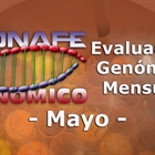 Nuevos toros genómicos con Prueba Oficial: Evaluación genómica de mayo 2019