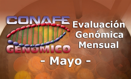 Nuevos toros genmicos con Prueba Oficial: Evaluacin genmica de mayo 2019