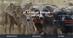 La sanidad animal importa, nueva web sobre salud veterinaria