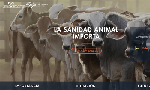 La sanidad animal importa, nueva web sobre salud veterinaria
