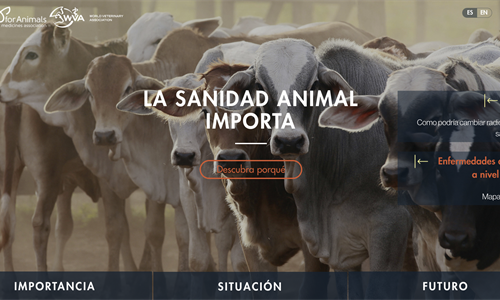 La sanidad animal importa, nueva web sobre salud veterinaria