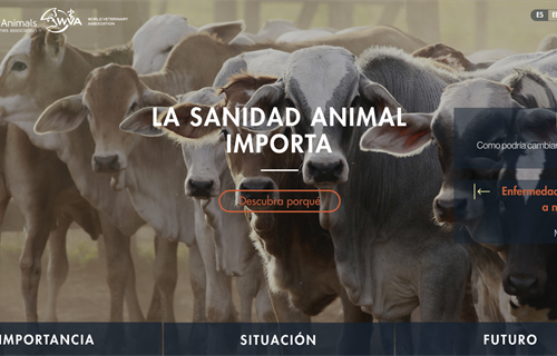 La sanidad animal importa, nueva web sobre salud veterinaria