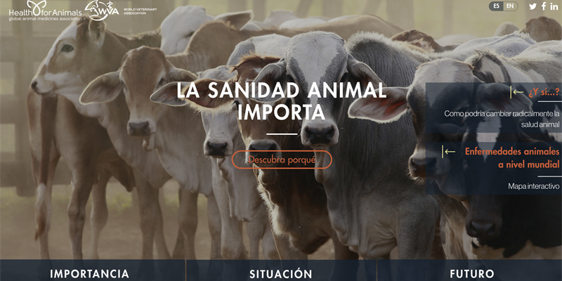 “La sanidad animal importa”, nueva web sobre salud veterinaria