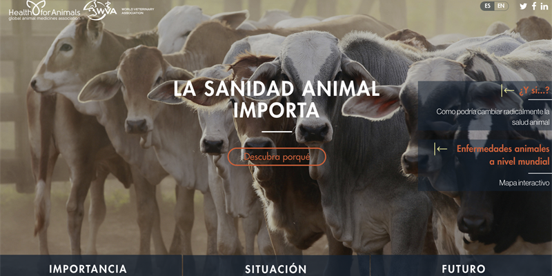 La sanidad animal importa, nueva web sobre salud veterinaria