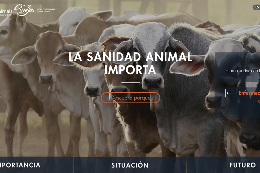 La sanidad animal importa, nueva web sobre salud veterinaria