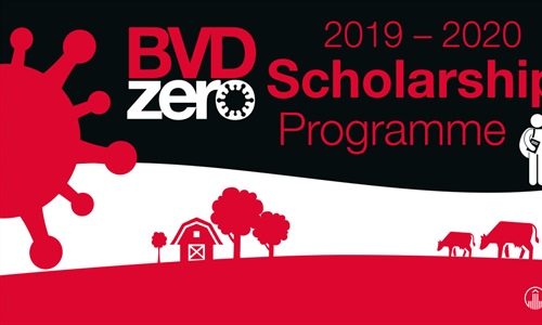 Boehringer Ingelheim convoca las becas BVDzero para estudiantes de...