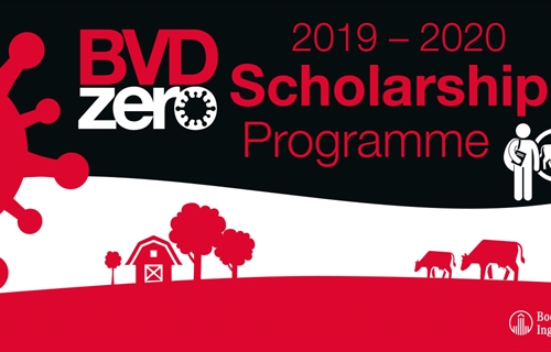 Boehringer Ingelheim convoca las becas BVDzero para estudiantes de...