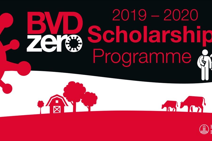 Boehringer Ingelheim convoca las becas BVDzero para estudiantes de...