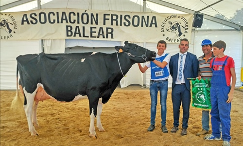Son Quart Delete Jeyn, Vaca Gran Campeona de Mallorca 2019