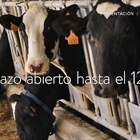 La preinscripcin al Mster en Produccin de Leche estar abierta hasta el 12 de junio