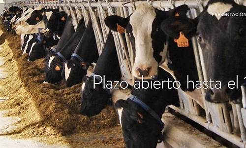 La preinscripcin al Mster en Produccin de Leche estar abierta hasta...