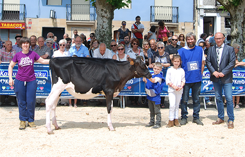 20� Concurso de Ganado Fris�n de Ir�n 2019