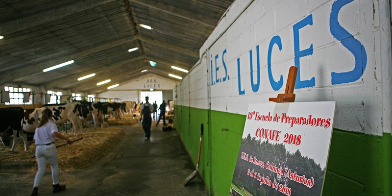 El IES Luces impartir el grado de Tcnico Superior en Ganadera y Asistencia en Sanidad Animal