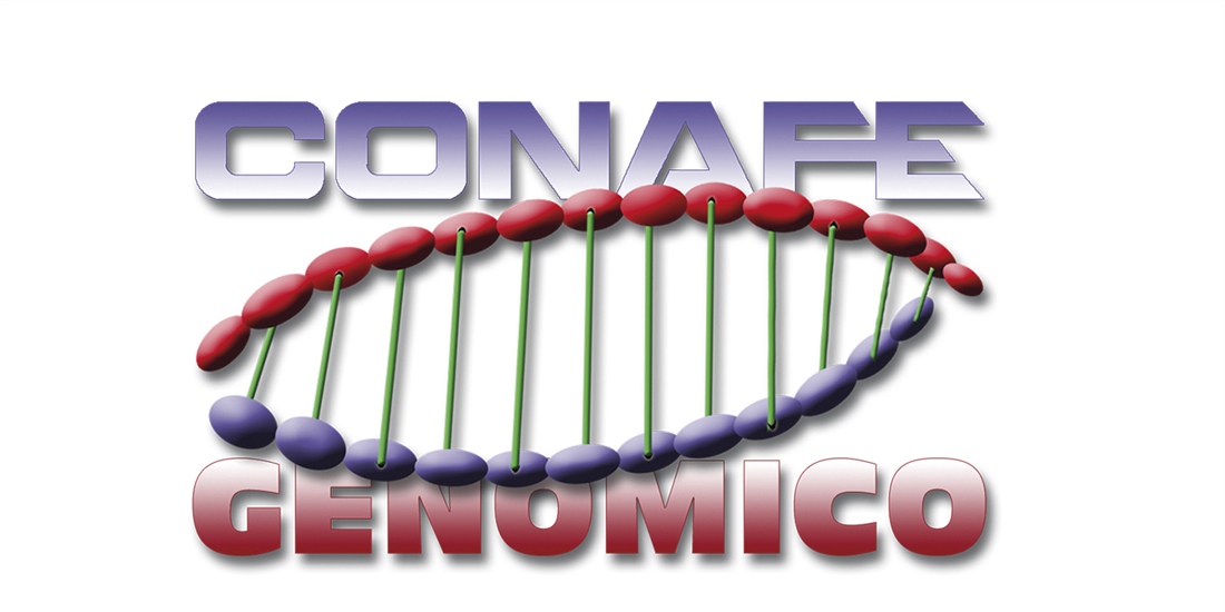 CONAFE ampla sus servicios de evaluacin genmica