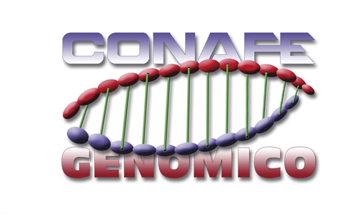 CONAFE ampla sus servicios de evaluacin genmica
