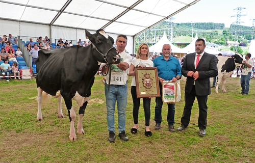 Llinde Ariel Jordan, Vaca Gran Campeona en Renedo 2019