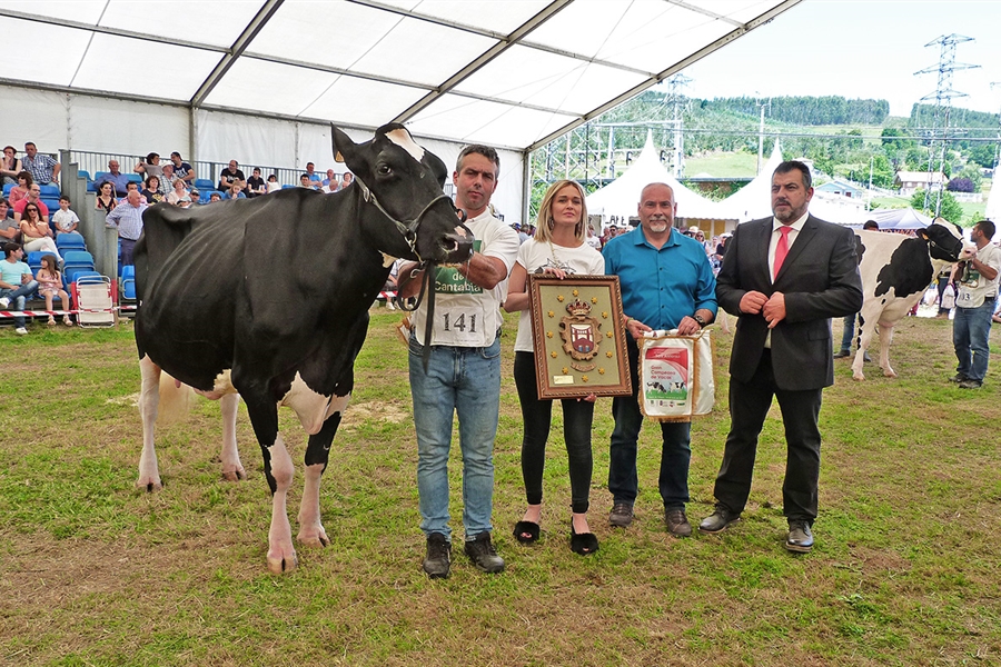 Llinde Ariel Jordan, Vaca Gran Campeona en Renedo 2019