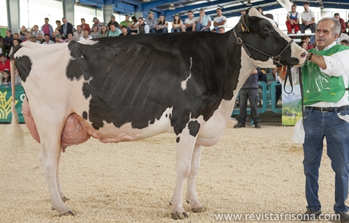 Badiola Airlift Kenda, Vaca Gran Campeona de Asturias 2019