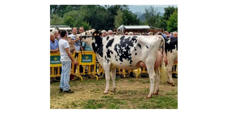 LXII Concurso-Exposicin de Ganado Vacuno Villaviciosa 2019