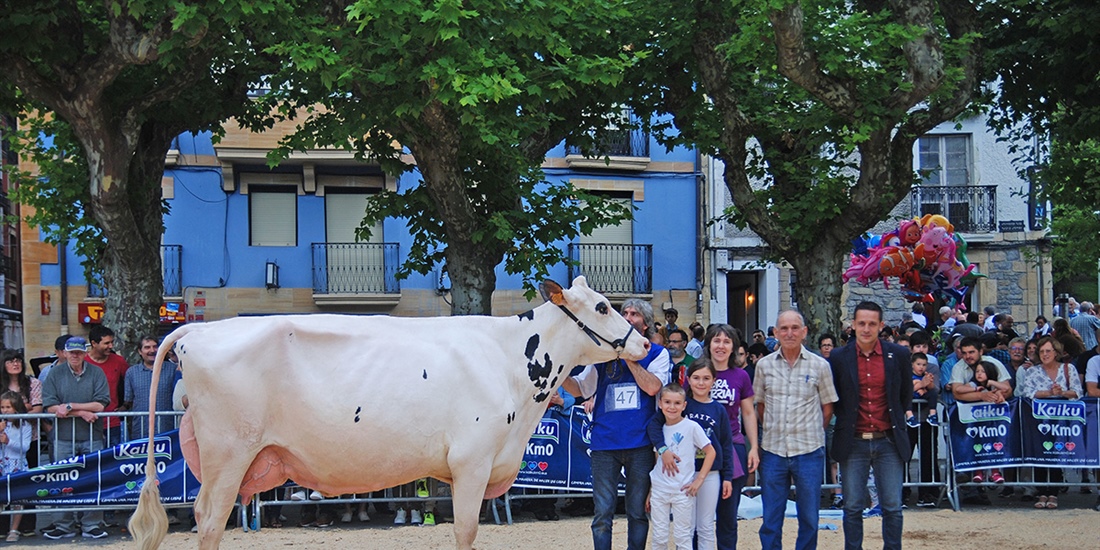 Ondazarte Meridian Afrodita, Vaca Campeona de Irn 2019