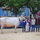 Ondazarte Meridian Afrodita, Vaca Campeona de Irn 2019