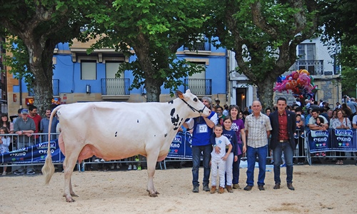 Ondazarte Meridian Afrodita, Vaca Campeona de Irn 2019