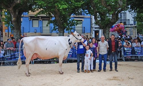 Ondazarte Meridian Afrodita, Vaca Campeona de Irn 2019