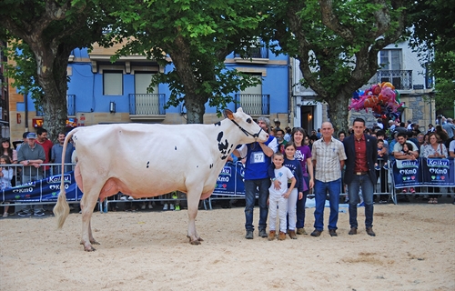 Ondazarte Meridian Afrodita, Vaca Campeona de Irn 2019