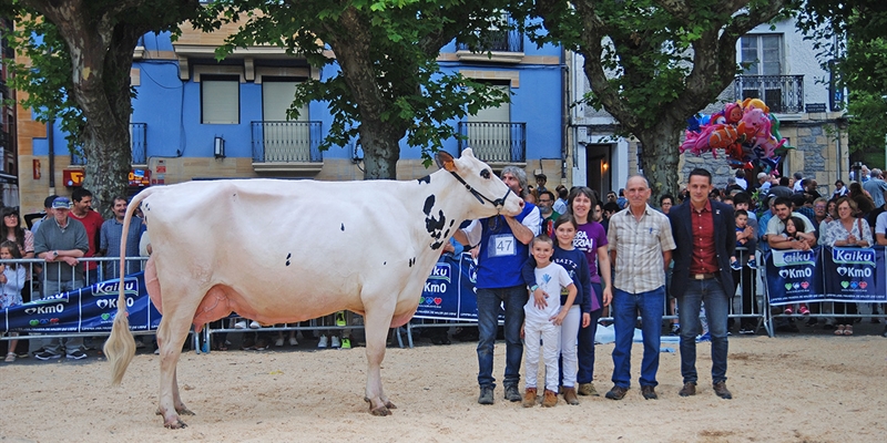 Ondazarte Meridian Afrodita, Vaca Campeona de Irn 2019