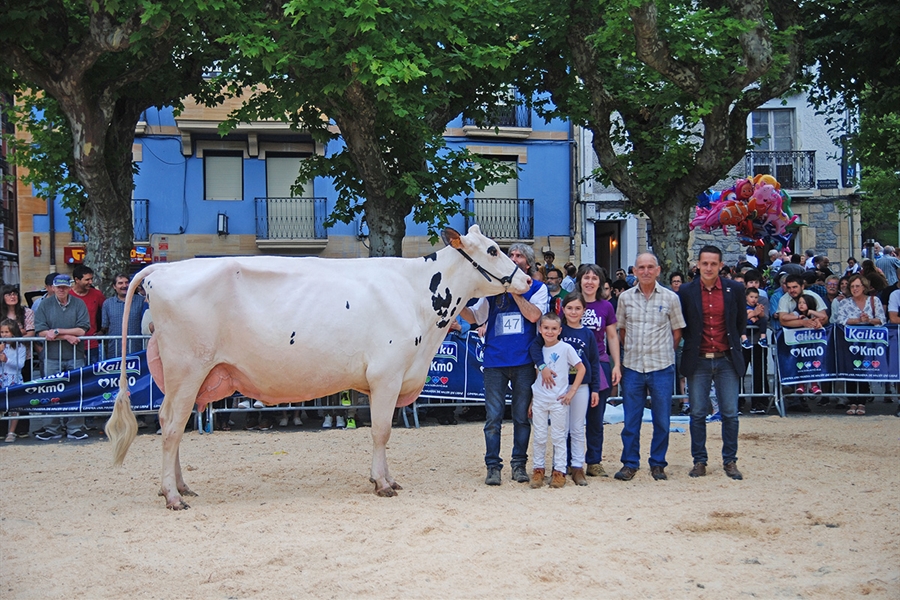 Ondazarte Meridian Afrodita, Vaca Campeona de Irn 2019