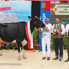 Llinde Ariel Jordan, Vaca Gran Campeona de Cantabria 2019