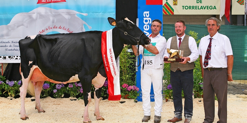 Llinde Ariel Jordan, Vaca Gran Campeona de Cantabria 2019